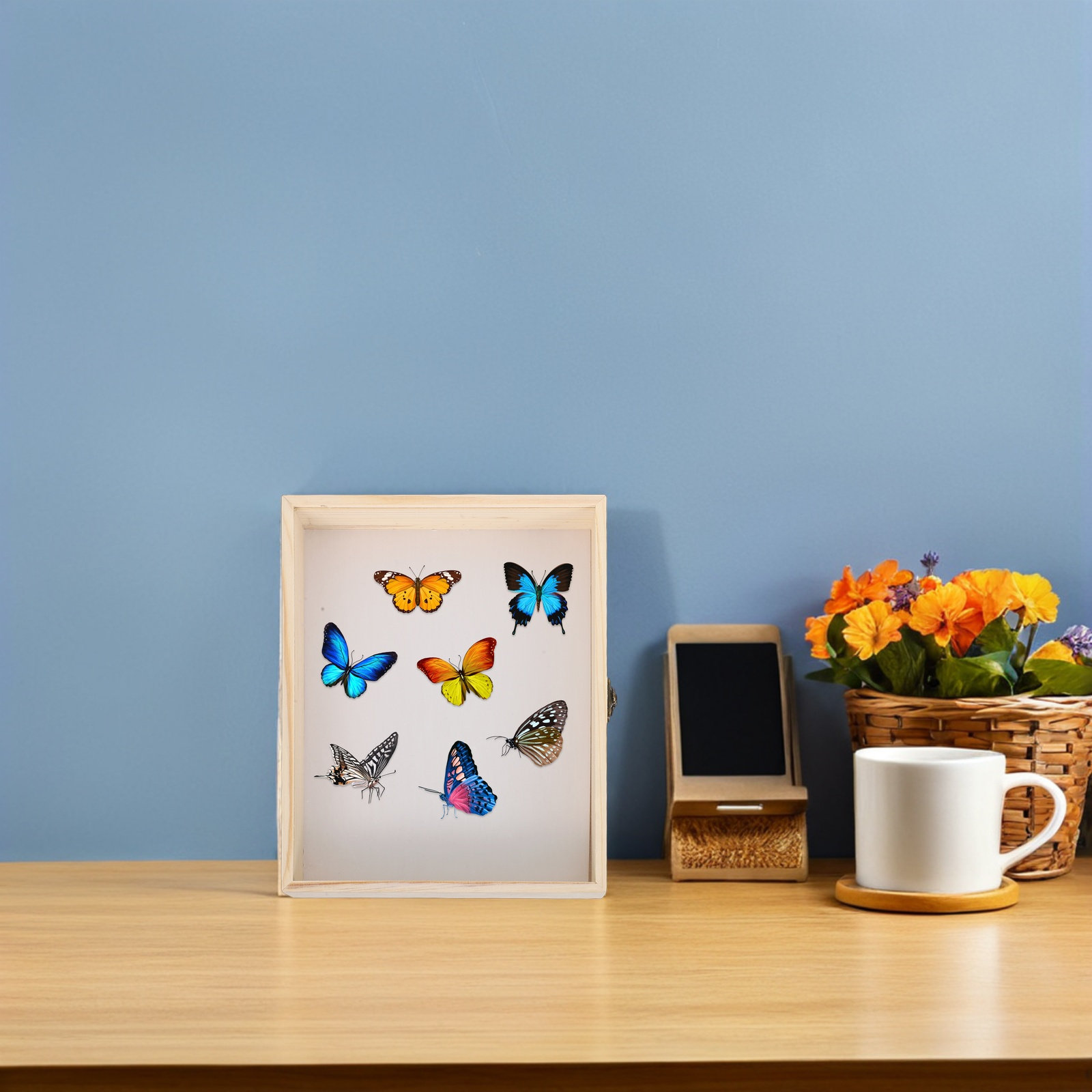 Solid Wood Insect Specimen Dis - Frame Display Wood 评论和价格