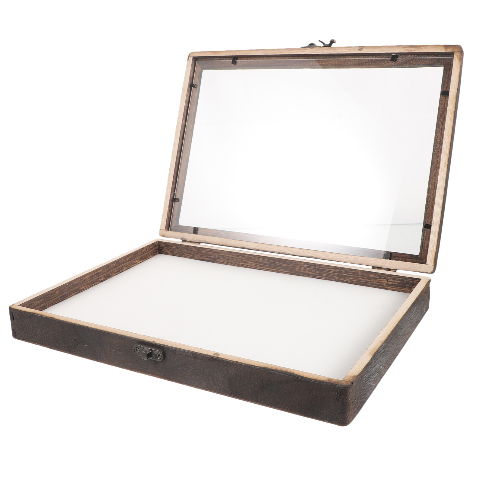 1Set Insect Specimen Display B - Frame Display Wood 评论和价格