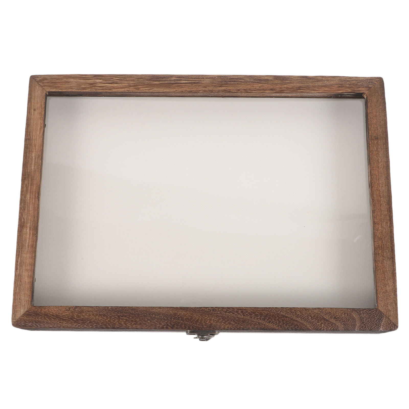 1Set Insect Specimen Display B - Frame Display Wood 评论和价格