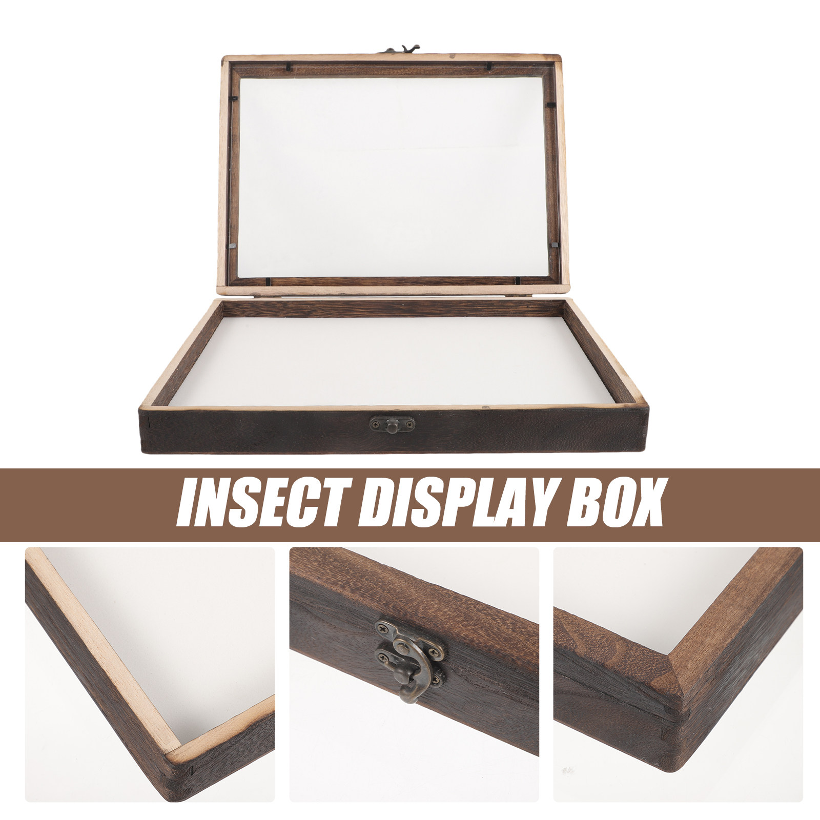 1Set Insect Specimen Display B - Frame Display Wood 评论和价格